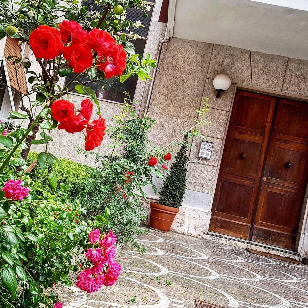 Aurelia Garden Rom